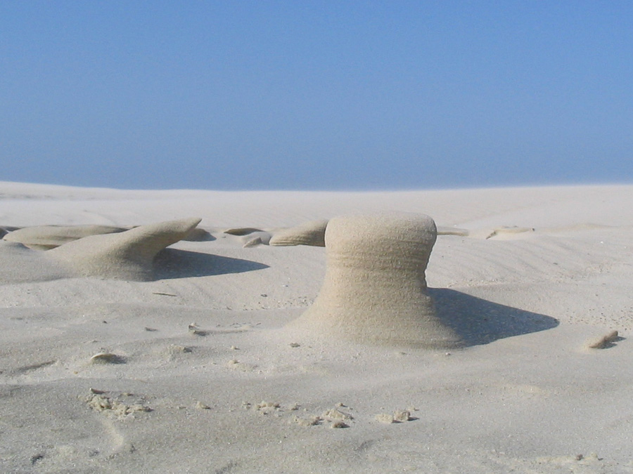 IMG_2640_a.jpg - Boltenhagen, Baltic Sea, Germany