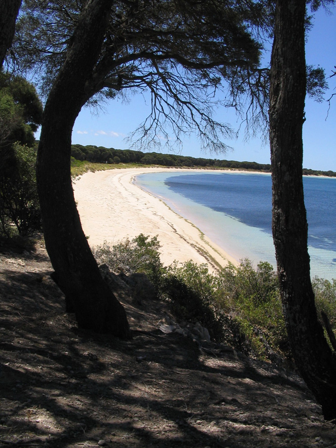 IMG_3752_a.jpg - Garden Island, WA, Australia