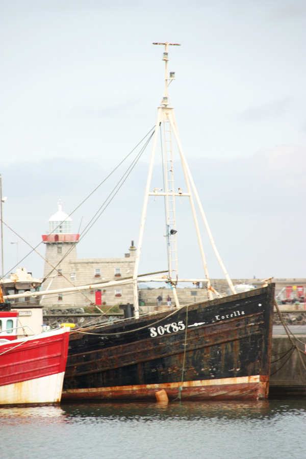 IMG_4145_a.jpg - Howth, Ireland