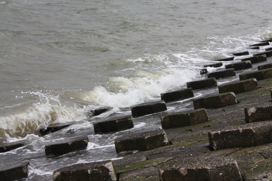 IMG_1956_a.jpg - Neuwerk, Germany