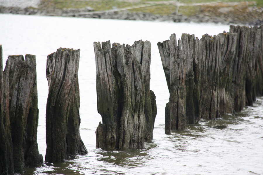 IMG_1965_a.jpg - Neuwerk, Germany