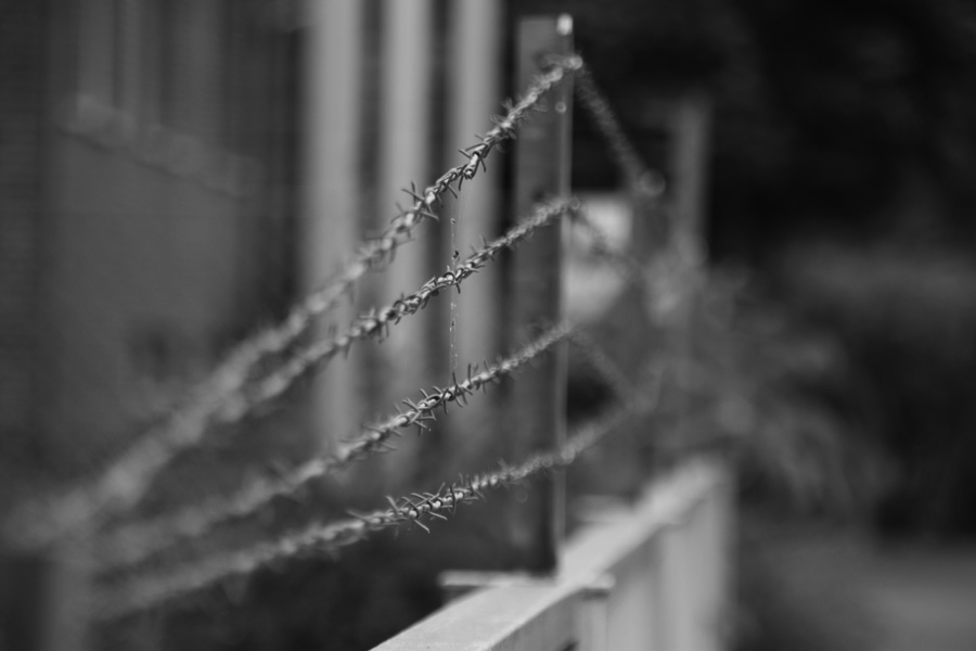 IMG_2493_a.jpg - Linden Harbor, Linden, Hannover, Germany