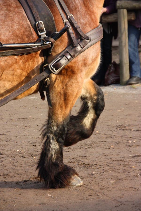 IMG_6032_a.jpg - Pullman City, Harz, Germany