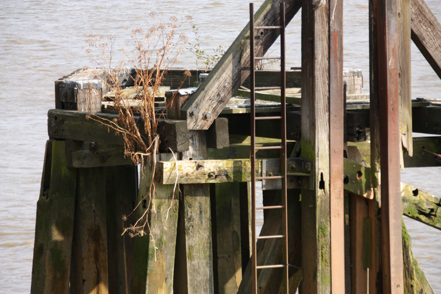 IMG_4512_a.jpg - Thames, London, England