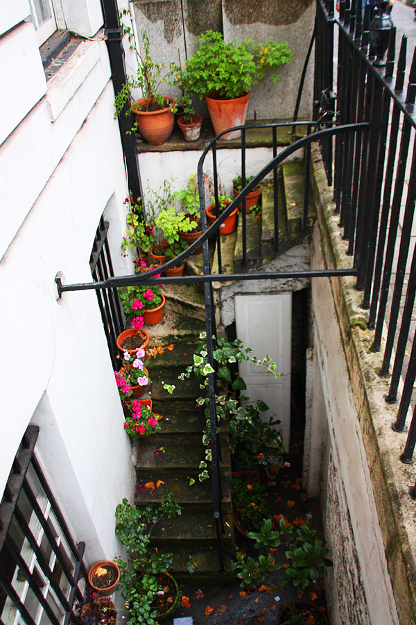 IMG_4760_a.jpg - Little garden, Bloomsbury, London, England