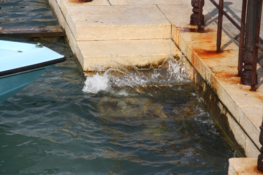 IMG_5067_a.jpg - Splash?