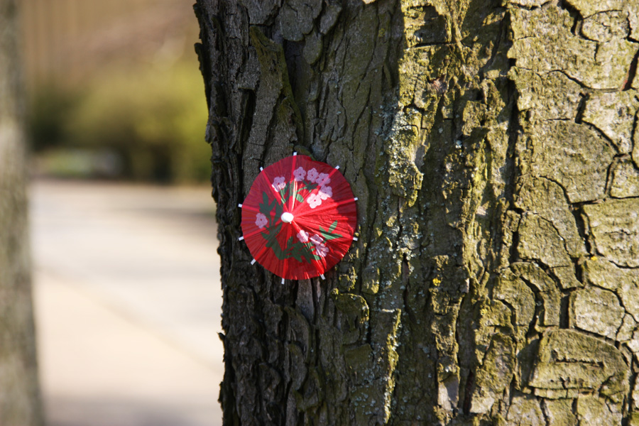 IMG_6713_a.jpg - Park Sanssouci, Potsdam, Berlin