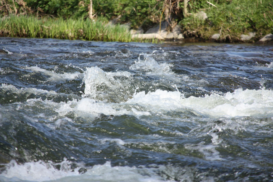 IMG_6964_a.jpg - River Kinzig, Wolfach, Black Forest, Germany