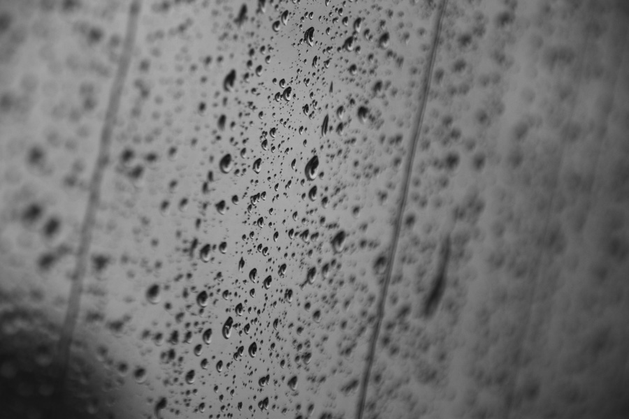 IMG_8206_a.jpg - On the train home