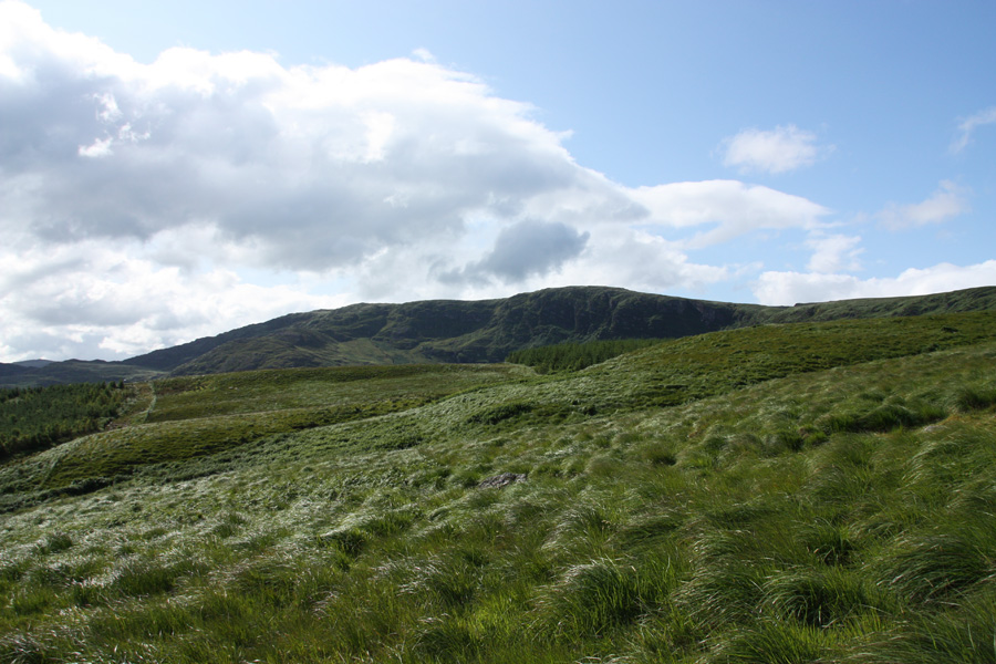IMG_8265_a.jpg - The land of green, Beara Peninsula, County Kerry, Ireland