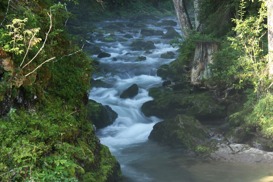 IMG_9144_a.jpg - 'Misty' creek, Allgäu, Germany