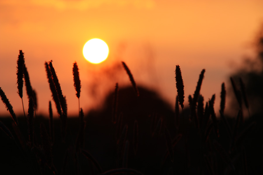 IMG_1324_a.jpg - Dusk