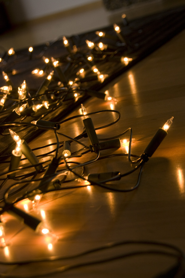 IMG_3683_a.jpg - Preparing the christmas tree