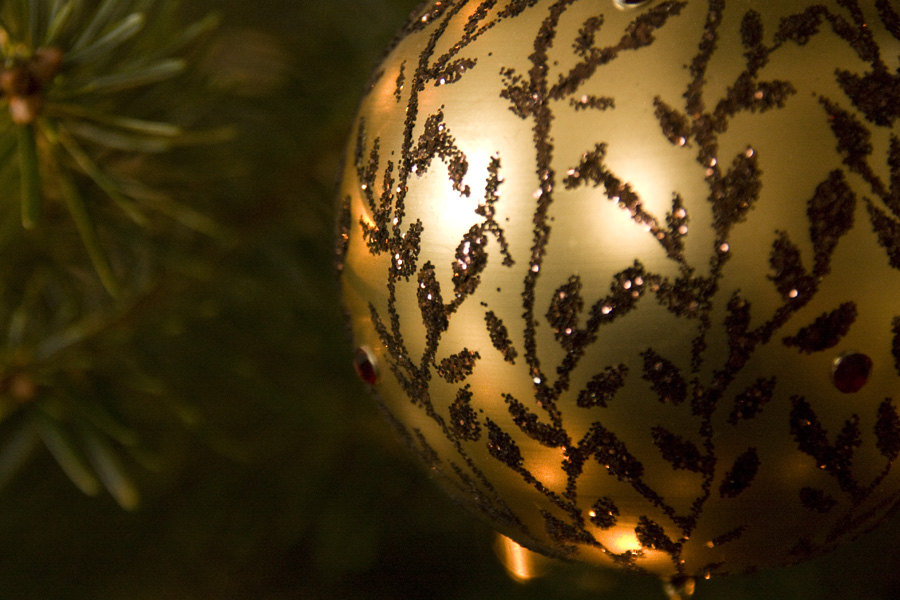 IMG_3693_a.jpg - Christmas tree detail