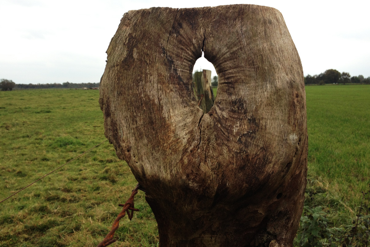 IMG_0104_a.jpg - Looking through the fence