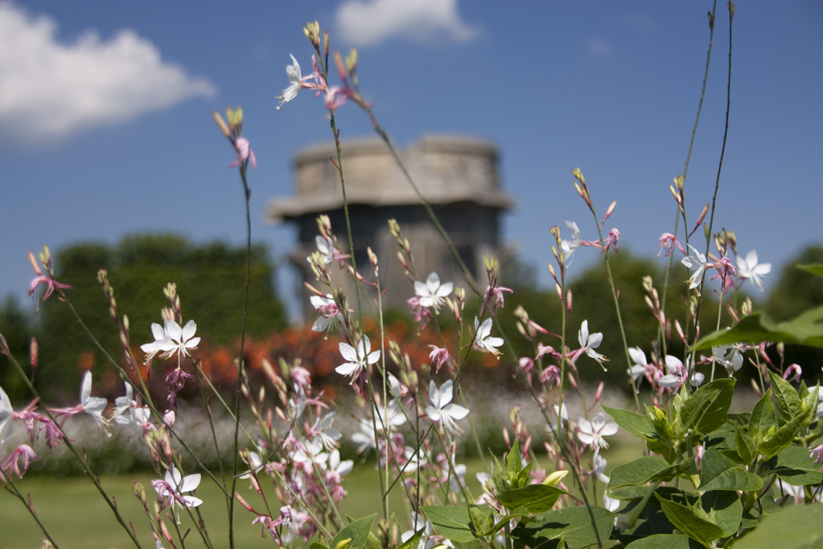 IMG_6099_a.jpg - G-Tower, Augarten, Vienna, Austria