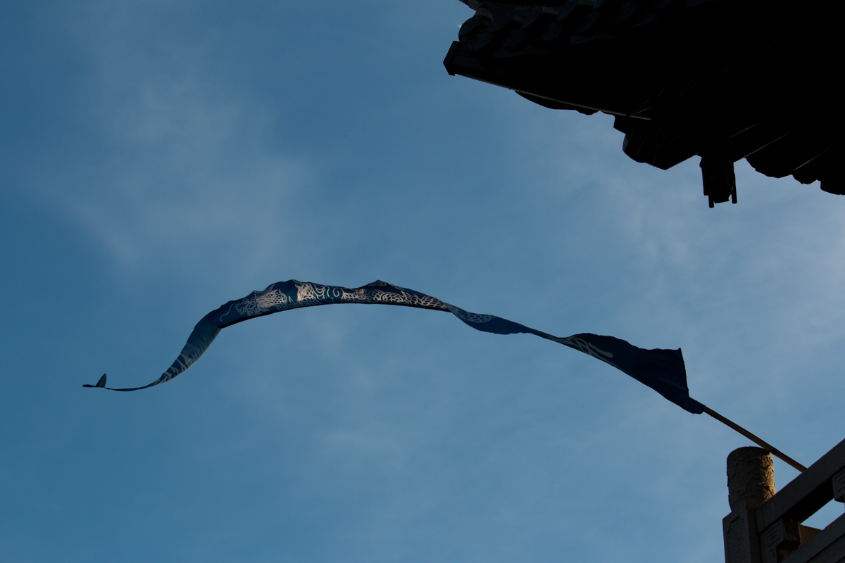 IMG_0337-1.jpg - Roof and Flag of the Chinese Tea House, Luisenpark, Mannheim, Germany