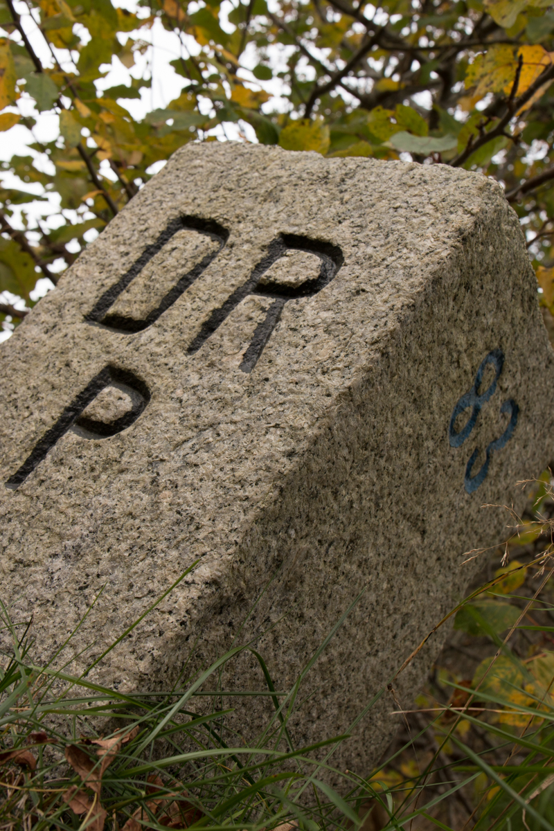 IMG_0464-1.jpg - Border Stone 83 between Germany and Denmark, Ellund, Germany (DR = Deutsches Reich, P=Prussia)