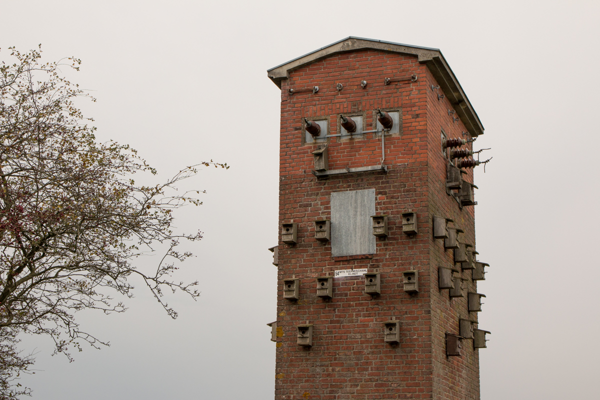 IMG_0472-1.jpg - For the Birds