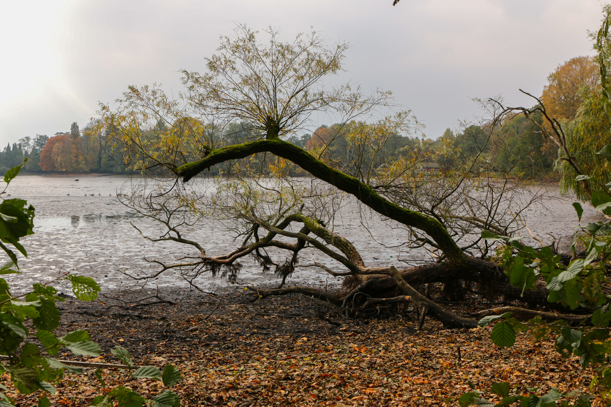 IMG_0534-1.jpg - Living Debris, Barmstedt, Germany