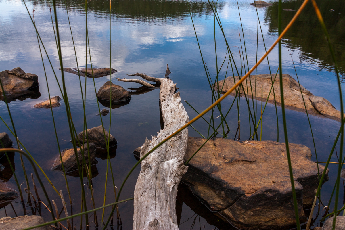 IMG_7974-1.jpg - Dead Wood, Sweden